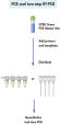 One-step RT-PCR using SYBR Green.