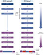 Next-generation sequencing using REPLI-g amplified DNA requires less hands-on time and generates more sequence information than PCR-based methods.