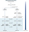 REPLI-g Cell WGA & WTA Kit procedure.
