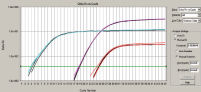 Comparable amplification in triplex PCR and singleplex PCRs.