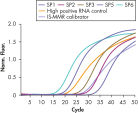 Accurate detection of Mbcr plasmid standards, high positive RNA control, and IS-MMR calibrator.