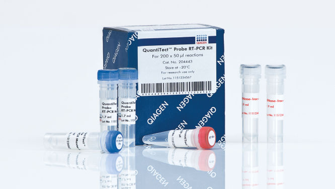 S_1232_GEF_PCR0051