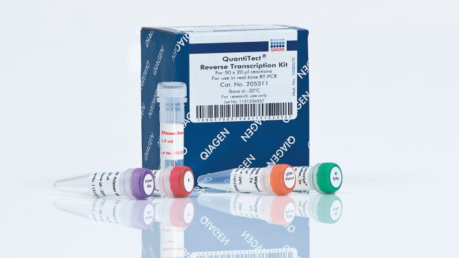 S_1233_GEF_PCR0053